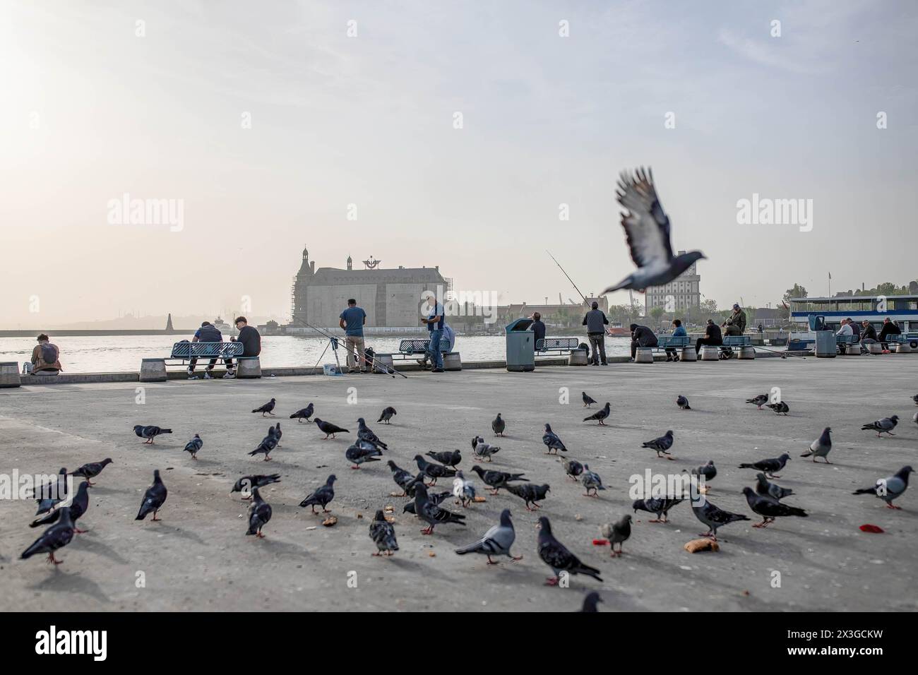 Vögel, die am Strand von Kadikoy mit dem Bahnhof Haydarpasa im Hintergrund beim Essen gesehen werden. Ein Überlauf des Wüstenstaubs betraf einen großen Teil der Türkei, einschließlich Istanbul, wo die Sichtverhältnisse und die Luftqualität abnahmen. Stockfoto