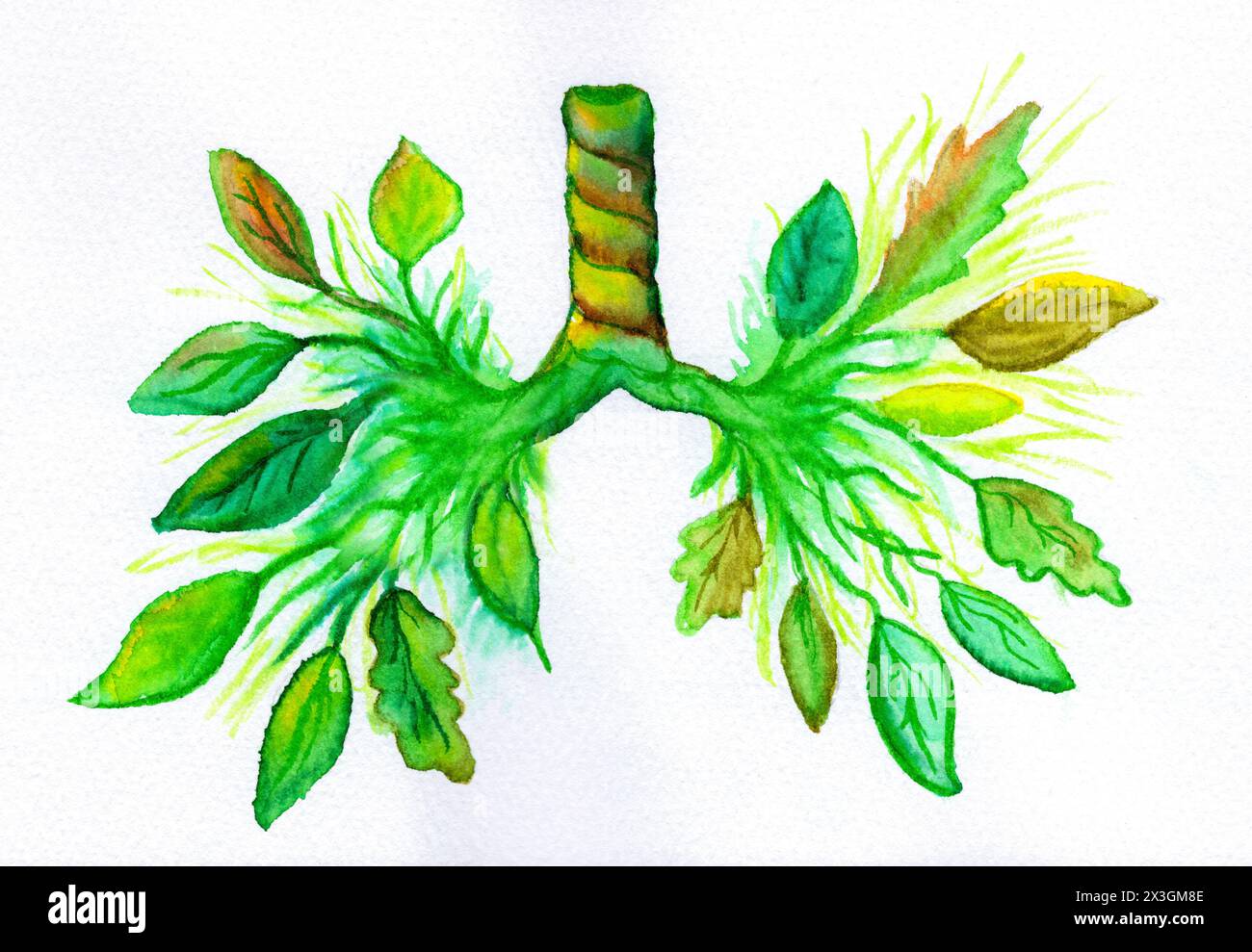 Konzeptuelle Darstellung der botanisch thematisierten Lunge, symbolisiert die Atemgesundheit und die Verbindung zwischen Natur, sauberer Luft und Lungenkrankheiten. Stockfoto