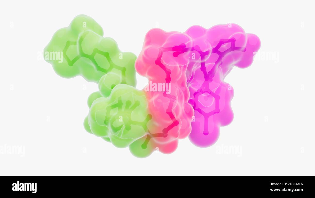 Abbildung der Struktur eines gezielten Proteinabbaumoleküls, z. B. einer Proteolyse-Targeting-Chimäre (PROTAC). Gezielte Proteinabbauer sind kleine Moleküle, die aus zwei Liganden (grün und violett) bestehen, die durch einen Linker (rot) verbunden sind. Ein Ligand rekrutiert ein Protein von Interesse, während der andere ein Protein-Ligase-Molekül rekrutiert, das zur Ubiquitylierung und anschließenden Abbau des Proteins von Interesse führt. Stockfoto
