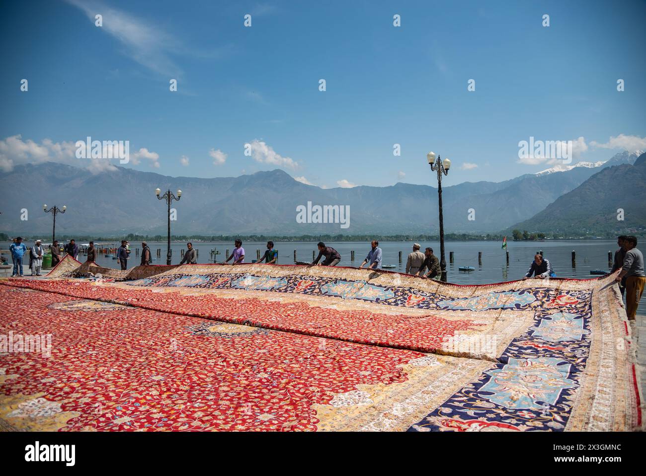 Arbeiter dehnen den größten Teppich auf einem Weg in der Nähe des Hazratbal-Schreins aus, um ihn in der Sonne trocknen zu lassen. Nachdem Srinagar als eine der kreativsten Städte weltweit geehrt wurde, bemühen sich Kaschmirs Handwerker, die Erwartungen dieses angesehenen Titels zu erfüllen. Im Dorf Wayil in der Region Kralpora im Norden Kaschmirs hat ein Team kaschmirischer Handwerker ein Meisterwerk enthüllt, das als Asiens größter handgefertigter Teppich gilt. Dieser handgeknüpfte Kaschmir-Teppich erstreckt sich über beeindruckende 72 Fuß x 40 Fuß und deckt eine riesige Fläche von 2.880 Quadratfuß ab. Es dauerte mehr als 25 Handwerker in acht Jahren, um mitzuarbeiten Stockfoto