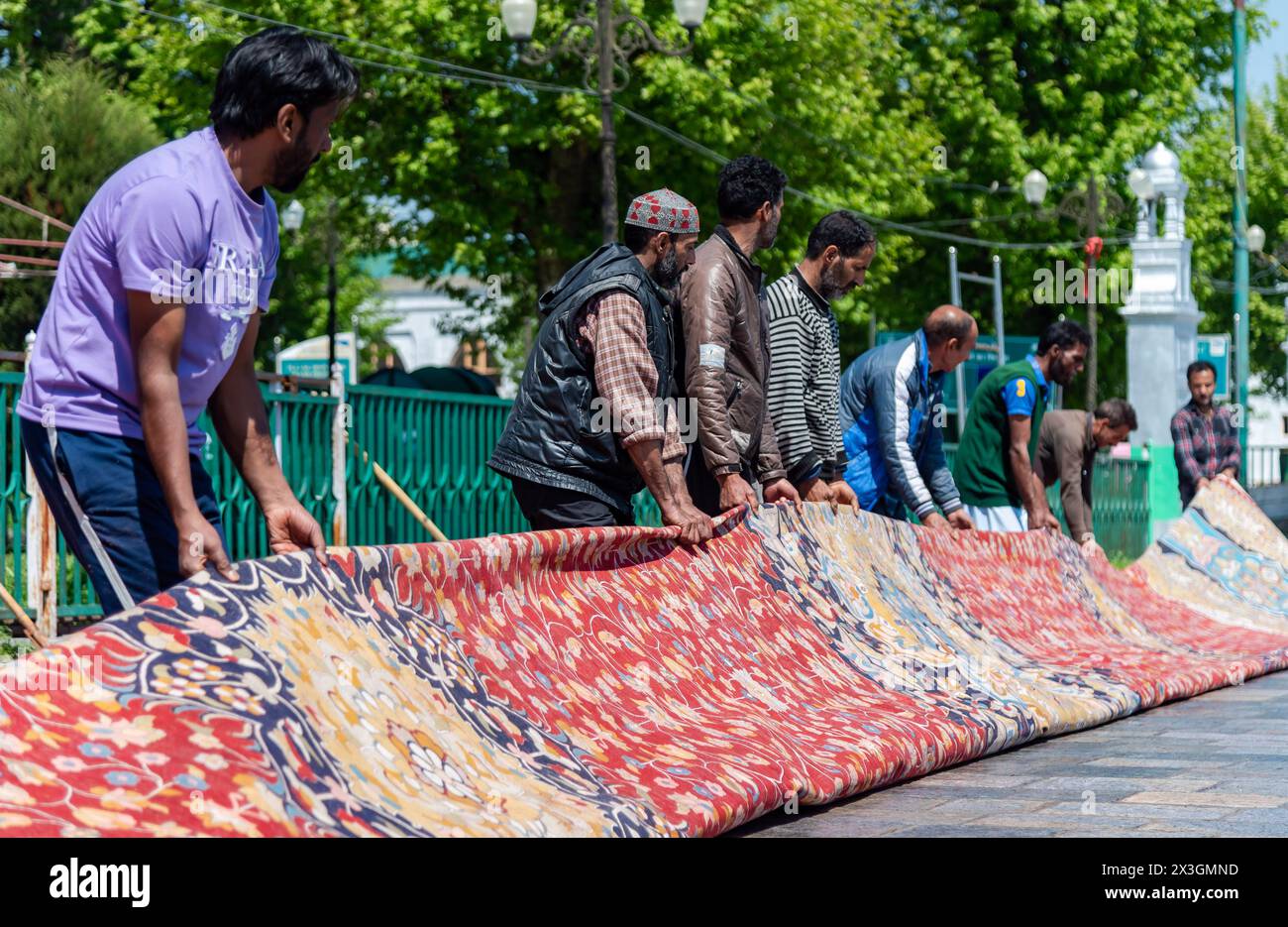 Arbeiter dehnen den größten Teppich auf einem Weg in der Nähe des Hazratbal-Schreins aus, um ihn in der Sonne trocknen zu lassen. Nachdem Srinagar als eine der kreativsten Städte weltweit geehrt wurde, bemühen sich Kaschmirs Handwerker, die Erwartungen dieses angesehenen Titels zu erfüllen. Im Dorf Wayil in der Region Kralpora im Norden Kaschmirs hat ein Team kaschmirischer Handwerker ein Meisterwerk enthüllt, das als Asiens größter handgefertigter Teppich gilt. Dieser handgeknüpfte Kaschmir-Teppich erstreckt sich über beeindruckende 72 Fuß x 40 Fuß und deckt eine riesige Fläche von 2.880 Quadratfuß ab. Es dauerte mehr als 25 Handwerker in acht Jahren, um mitzuarbeiten Stockfoto
