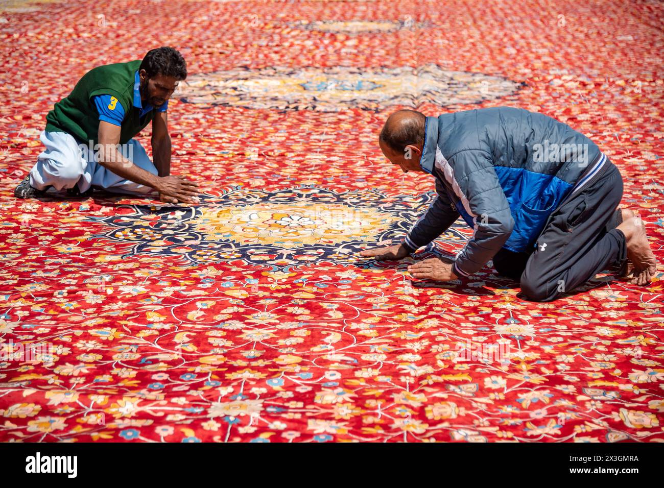 Arbeiter werden gesehen, wie sie Staub und Fäden vom größten Teppich entfernen, während er in der Sonne auf einem Pfad in der Nähe des Hazratbal-Schreins trocknet. Nachdem Srinagar als eine der kreativsten Städte weltweit geehrt wurde, bemühen sich Kaschmirs Handwerker, die Erwartungen dieses angesehenen Titels zu erfüllen. Im Dorf Wayil in der Region Kralpora im Norden Kaschmirs hat ein Team kaschmirischer Handwerker ein Meisterwerk enthüllt, das als Asiens größter handgefertigter Teppich gilt. Dieser handgeknüpfte Kaschmir-Teppich erstreckt sich über beeindruckende 72 Fuß x 40 Fuß und deckt eine riesige Fläche von 2.880 Quadratfuß ab. Es dauerte mehr als 25 Handwerker Stockfoto