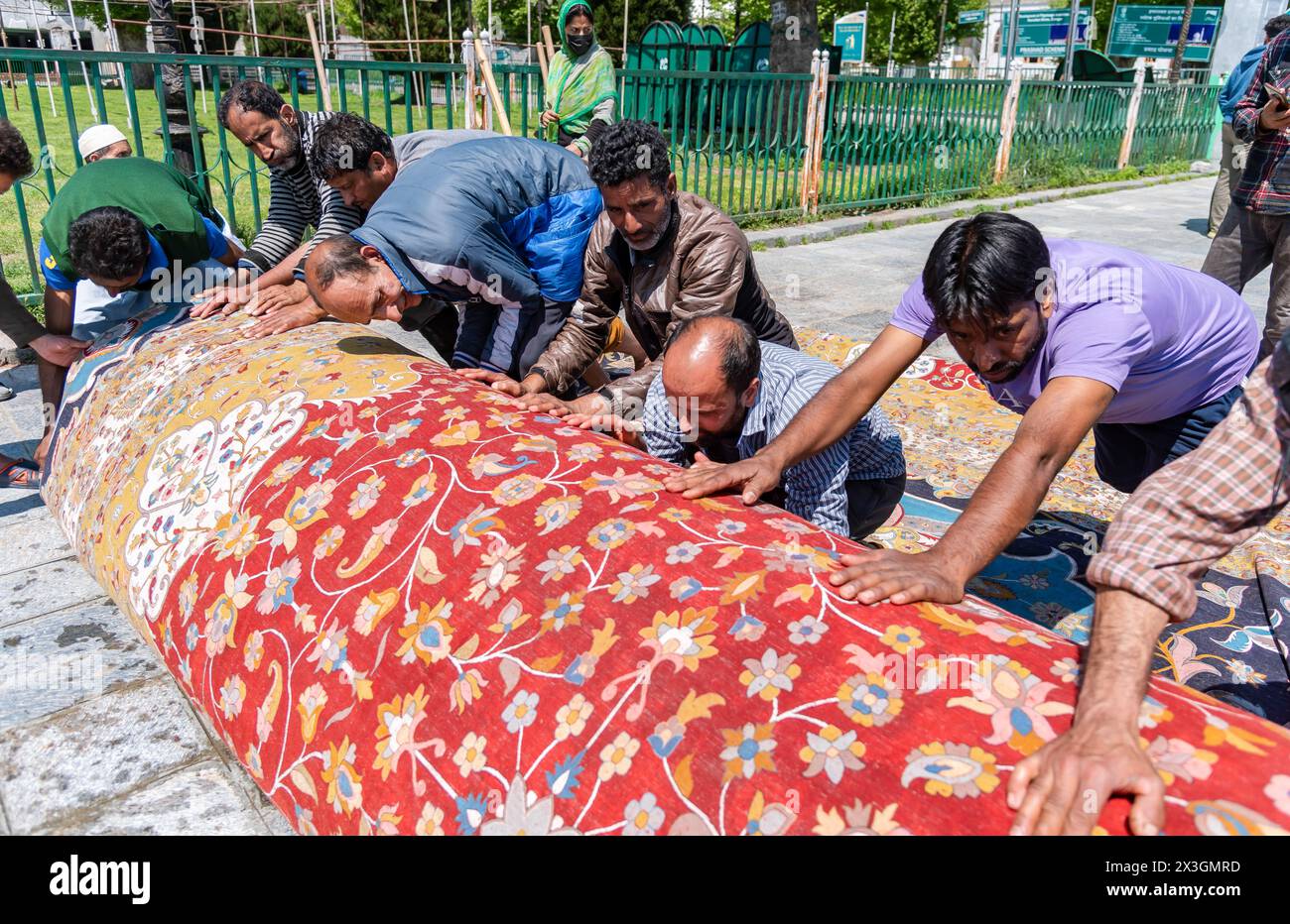 Arbeiter dehnen den größten Teppich auf einem Weg in der Nähe des Hazratbal-Schreins aus, um ihn in der Sonne trocknen zu lassen. Nachdem Srinagar als eine der kreativsten Städte weltweit geehrt wurde, bemühen sich Kaschmirs Handwerker, die Erwartungen dieses angesehenen Titels zu erfüllen. Im Dorf Wayil in der Region Kralpora im Norden Kaschmirs hat ein Team kaschmirischer Handwerker ein Meisterwerk enthüllt, das als Asiens größter handgefertigter Teppich gilt. Dieser handgeknüpfte Kaschmir-Teppich erstreckt sich über beeindruckende 72 Fuß x 40 Fuß und deckt eine riesige Fläche von 2.880 Quadratfuß ab. Es dauerte mehr als 25 Handwerker in acht Jahren, um mitzuarbeiten Stockfoto