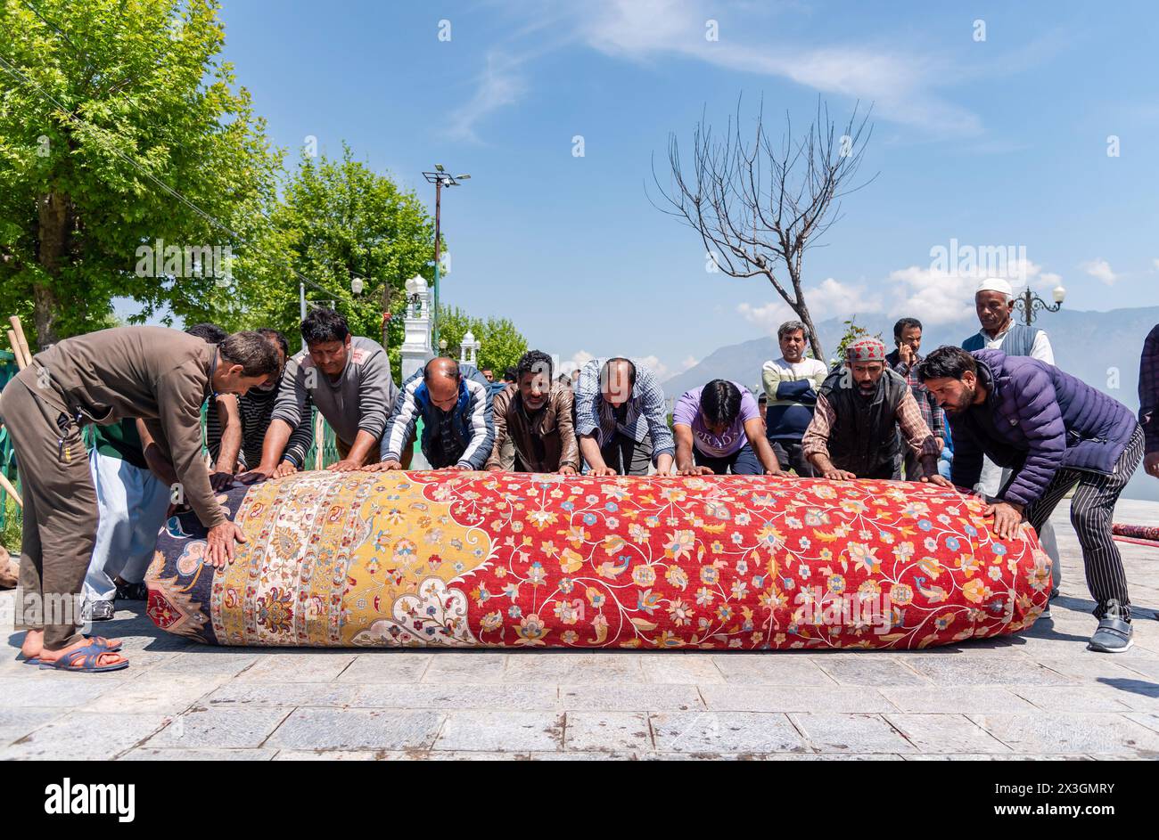 Arbeiter dehnen den größten Teppich auf einem Weg in der Nähe des Hazratbal-Schreins aus, um ihn in der Sonne trocknen zu lassen. Nachdem Srinagar als eine der kreativsten Städte weltweit geehrt wurde, bemühen sich Kaschmirs Handwerker, die Erwartungen dieses angesehenen Titels zu erfüllen. Im Dorf Wayil in der Region Kralpora im Norden Kaschmirs hat ein Team kaschmirischer Handwerker ein Meisterwerk enthüllt, das als Asiens größter handgefertigter Teppich gilt. Dieser handgeknüpfte Kaschmir-Teppich erstreckt sich über beeindruckende 72 Fuß x 40 Fuß und deckt eine riesige Fläche von 2.880 Quadratfuß ab. Es dauerte mehr als 25 Handwerker in acht Jahren, um mitzuarbeiten Stockfoto