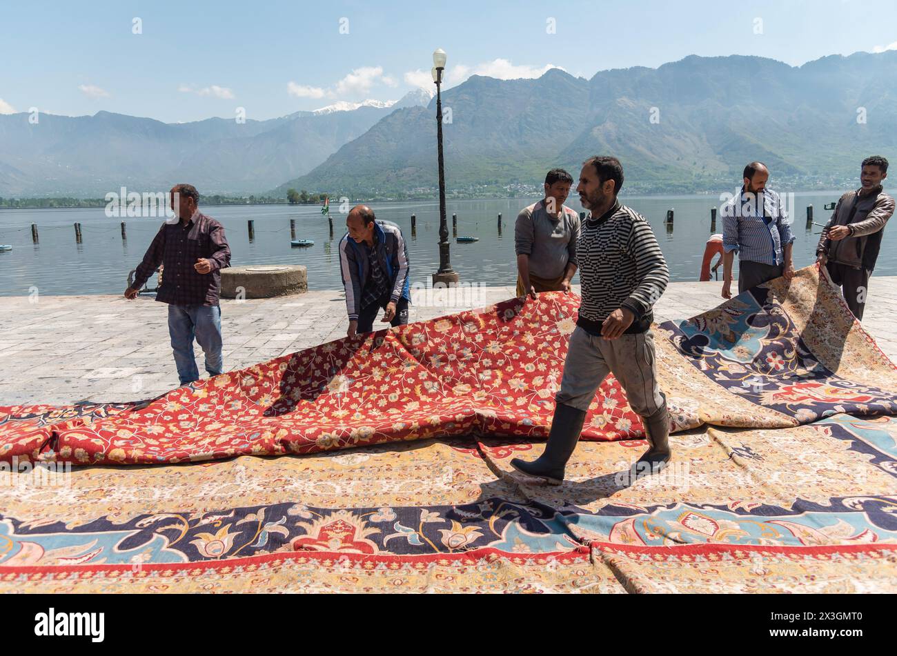 Arbeiter dehnen den größten Teppich auf einem Weg in der Nähe des Hazratbal-Schreins aus, um ihn in der Sonne trocknen zu lassen. Nachdem Srinagar als eine der kreativsten Städte weltweit geehrt wurde, bemühen sich Kaschmirs Handwerker, die Erwartungen dieses angesehenen Titels zu erfüllen. Im Dorf Wayil in der Region Kralpora im Norden Kaschmirs hat ein Team kaschmirischer Handwerker ein Meisterwerk enthüllt, das als Asiens größter handgefertigter Teppich gilt. Dieser handgeknüpfte Kaschmir-Teppich erstreckt sich über beeindruckende 72 Fuß x 40 Fuß und deckt eine riesige Fläche von 2.880 Quadratfuß ab. Es dauerte mehr als 25 Handwerker in acht Jahren, um mitzuarbeiten Stockfoto