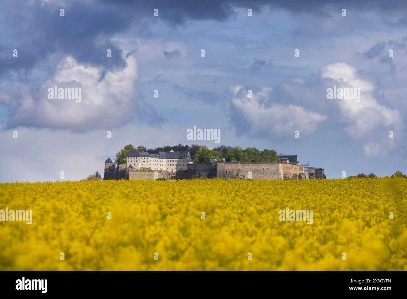 Festung Königstein in der Sächsischen Schweiz. ., Königstein, Sachsen, Deutschland, Europa Stockfoto