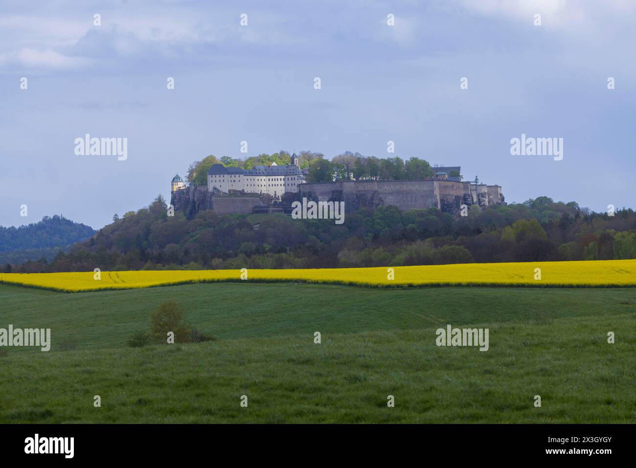 Festung Königstein in der Sächsischen Schweiz. ., Königstein, Sachsen, Deutschland, Europa Stockfoto
