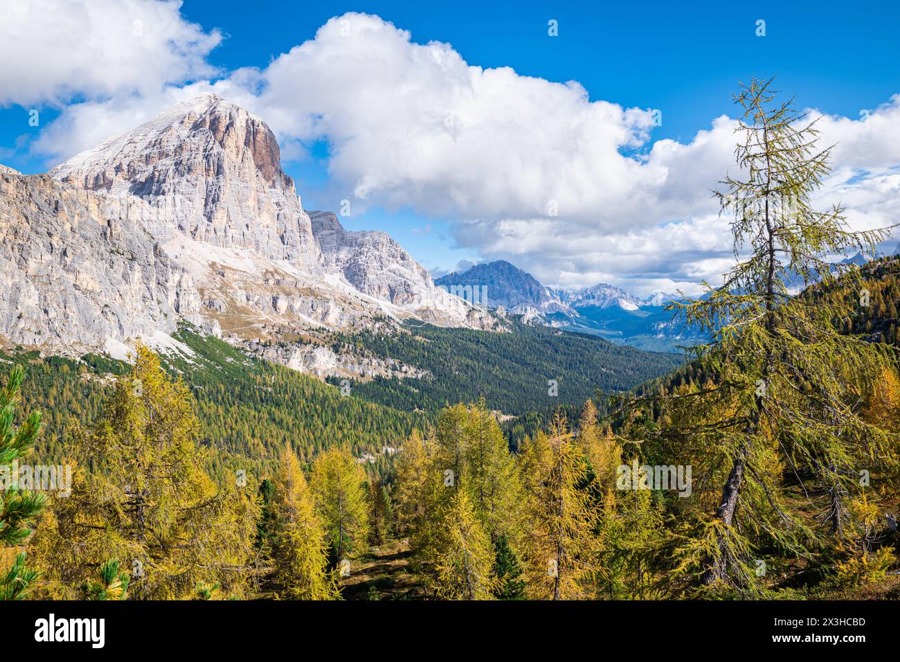 Malerisches Bild eines Tals mit Lärchen in Herbstfarben bei Cortina d´Ampezzo in den italienischen Dolomiten. Stockfoto