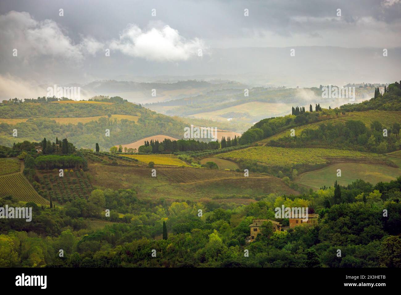 Toskanische Landschaft mit Weinbergen auf Hügeln, die wie ein altes Gemälde aussehen. Foto aufgenommen am 24. Oktober 2023 in San Gimignano, Val d’Orcia, region Toskana Stockfoto