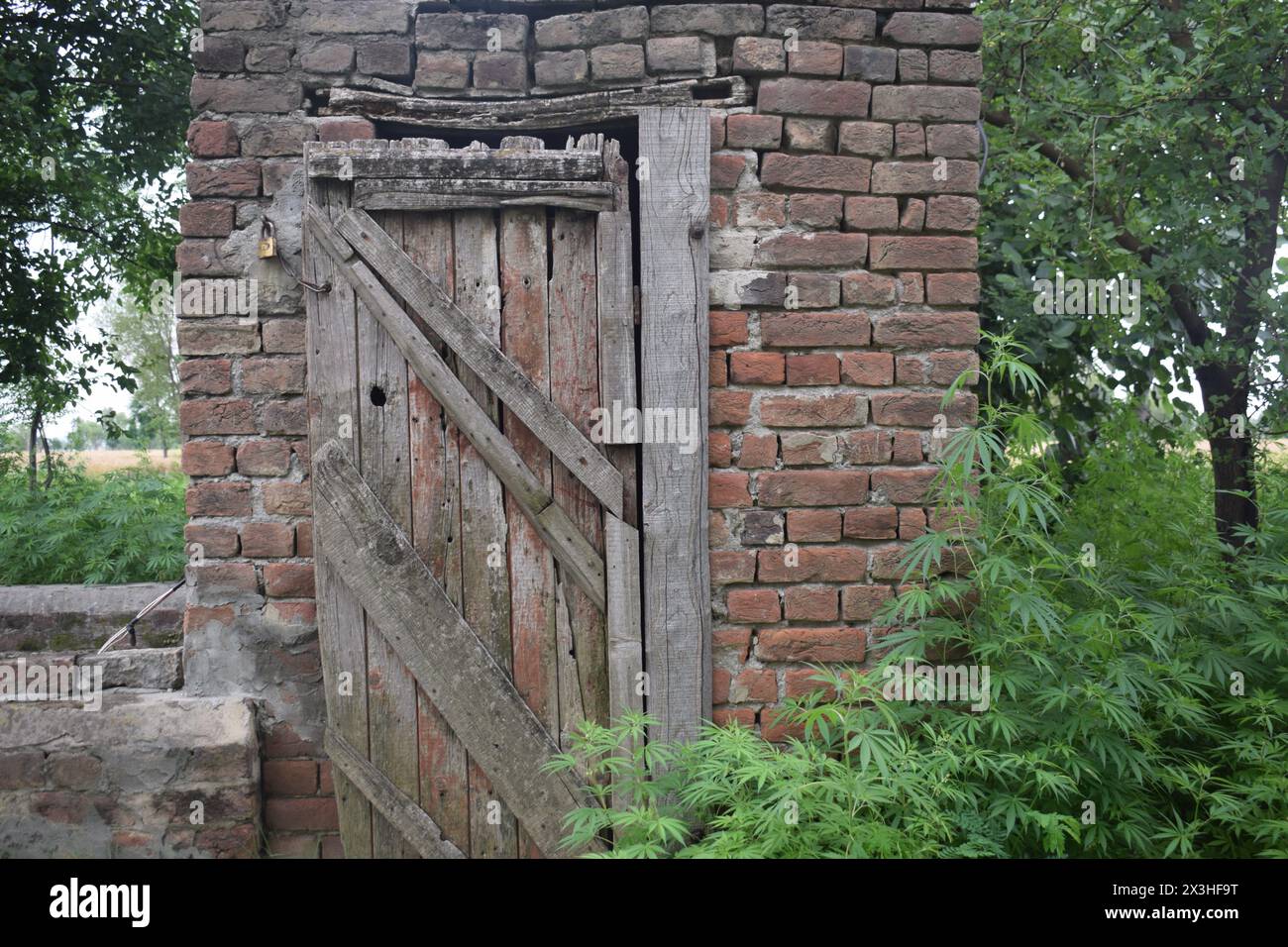 Architektonisches Detail mit Holztüren im traditionellen Stil ein altes Backsteingebäude im ländlichen Punjab, Indien, altes Holztor mit regnerischem Tag Stockfoto