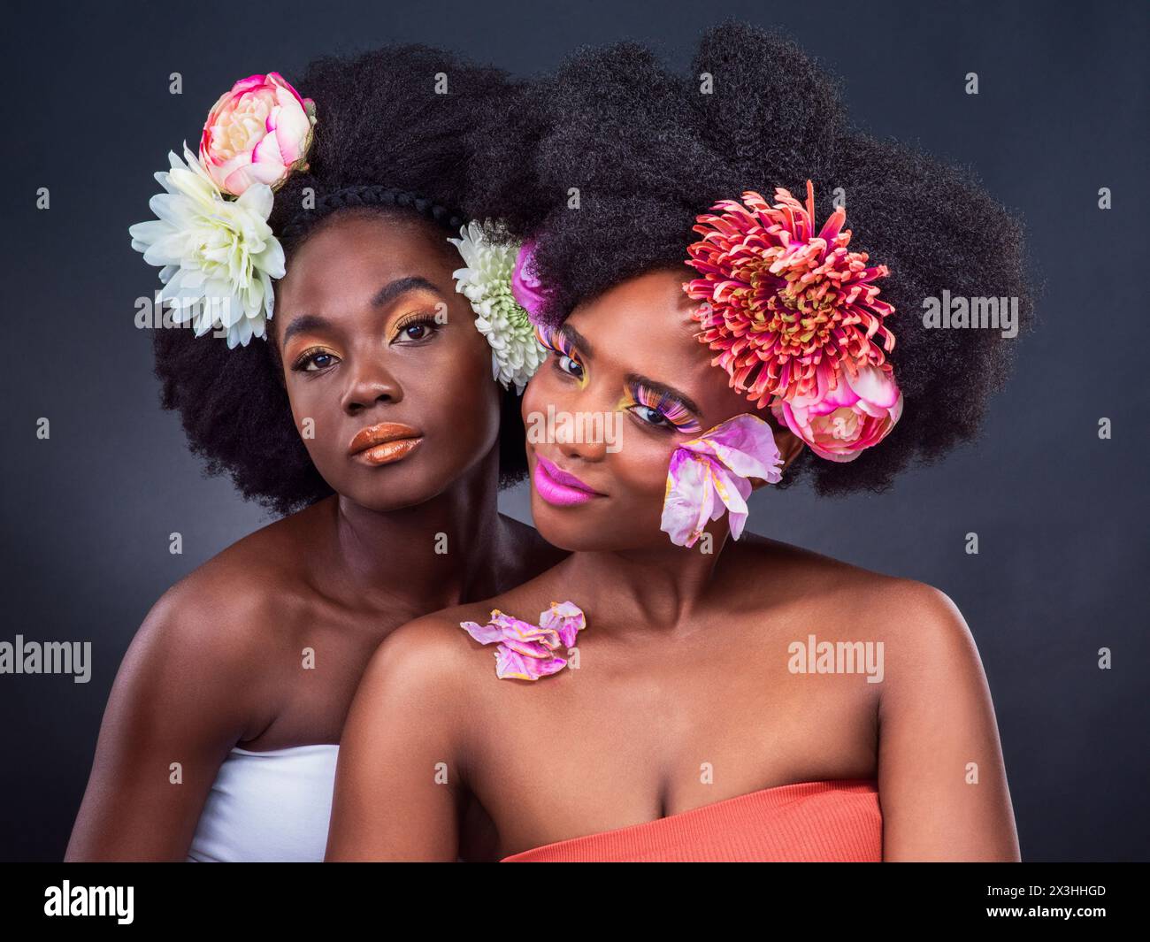 Porträt-, Beauty- und schwarze Frauen mit Blumen im Studio für Bio-Kosmetik, Verjüngungskur oder Hautglühen auf dunklem Hintergrund. Make-up, Afro und Modelle mit Stockfoto