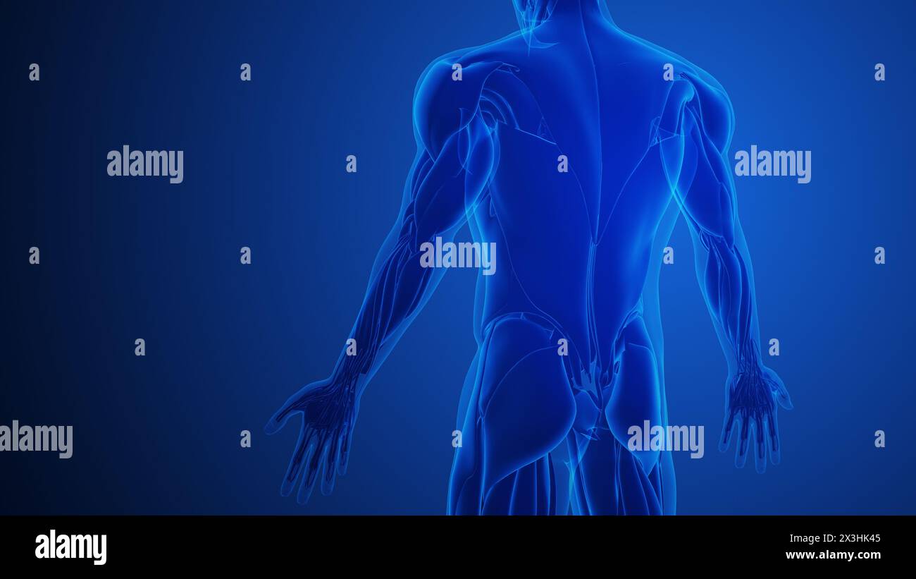 Trizepsmuskelschmerzen mit blauem Hintergrund Stockfoto