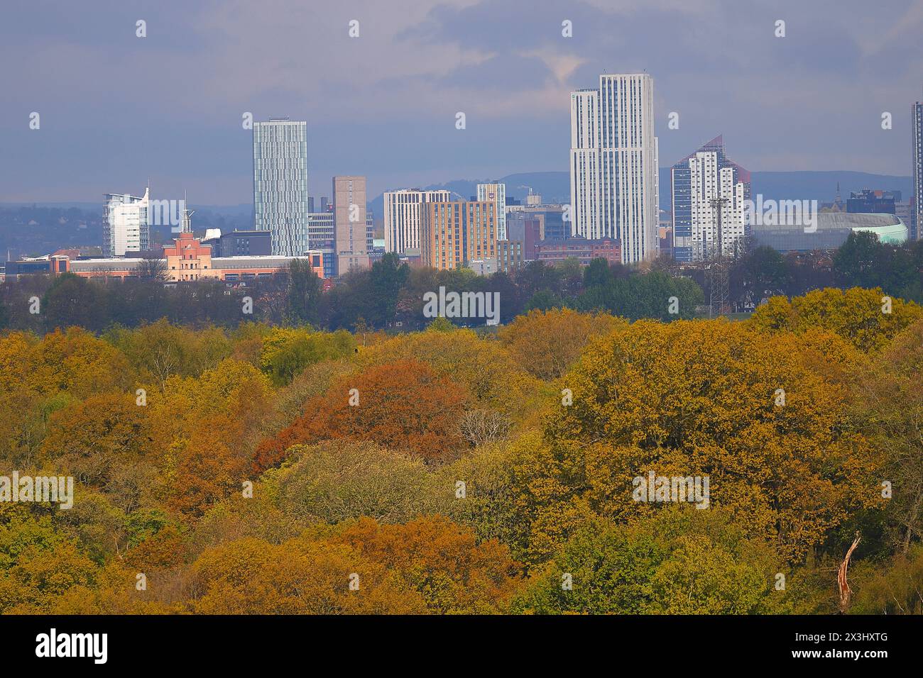 Blick auf den Wald in Richtung Leeds City Centre Stockfoto