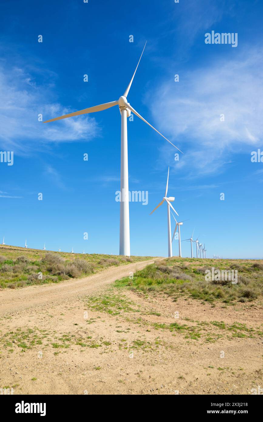 Windturbinengeneratoren für die Erzeugung erneuerbarer elektrischer Energie Stockfoto
