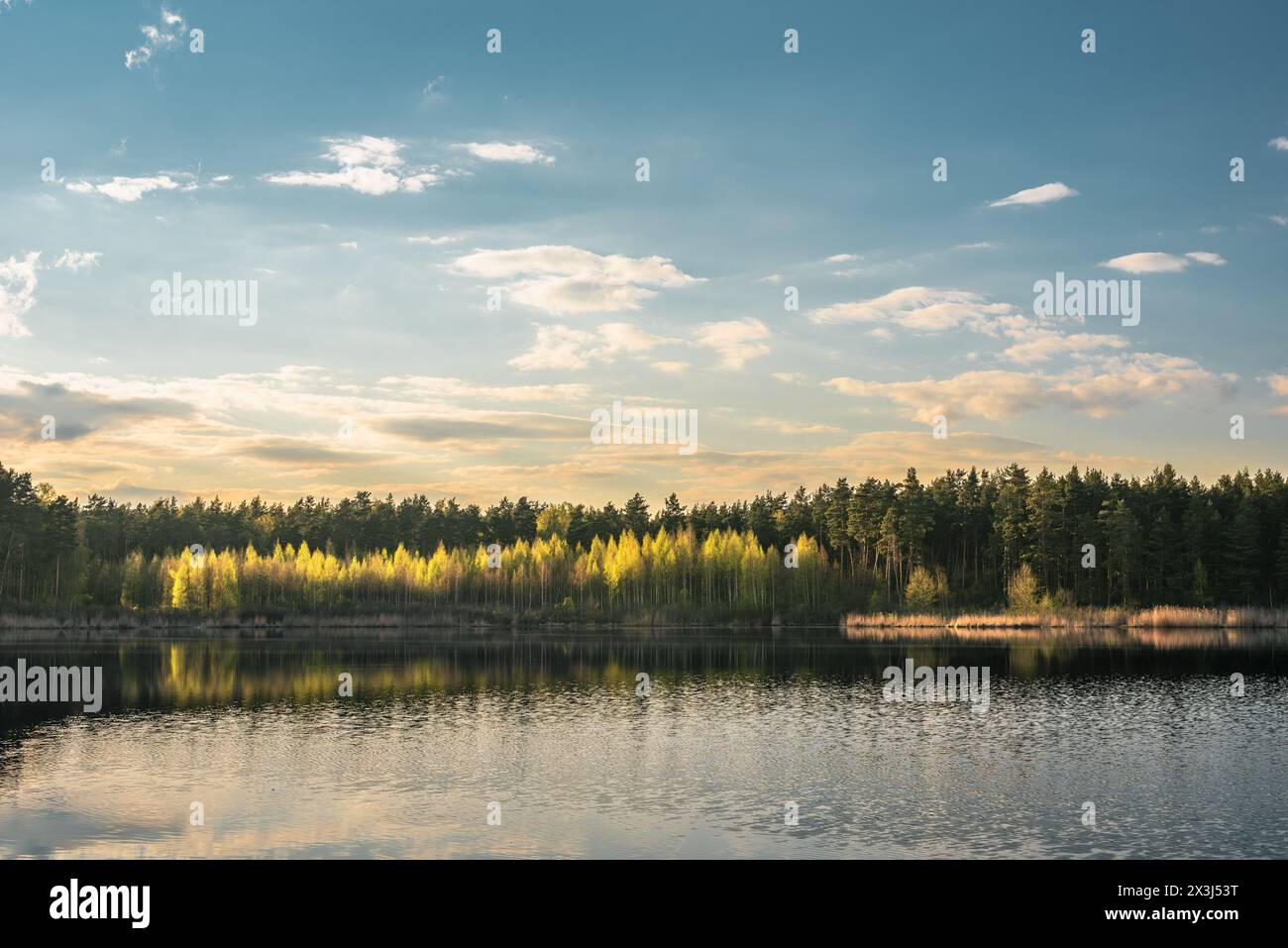 Schöne Landschaftsansicht auf den See im Wald Stockfoto