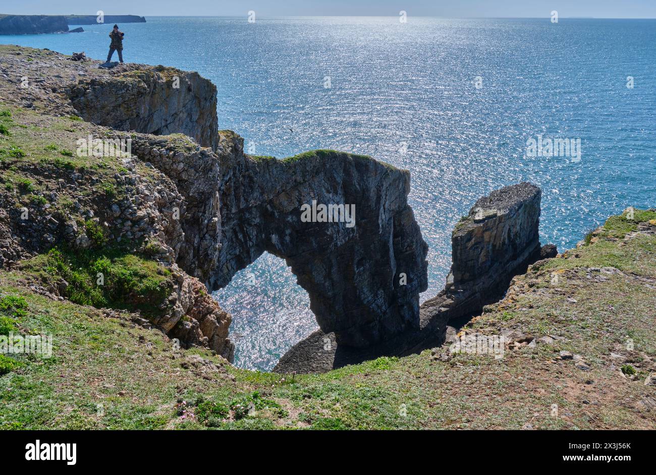 Green Bridge of Wales, Merrion, in der Nähe von Castlemartin, Pembrokeshire, Wales Stockfoto