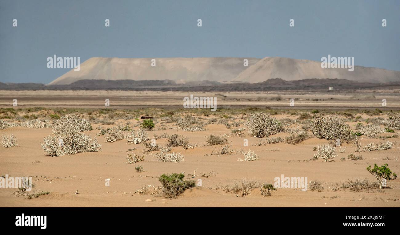 Ein Diamantabbau in der Wüstenlandschaft außerhalb von Oranjemund. Stockfoto