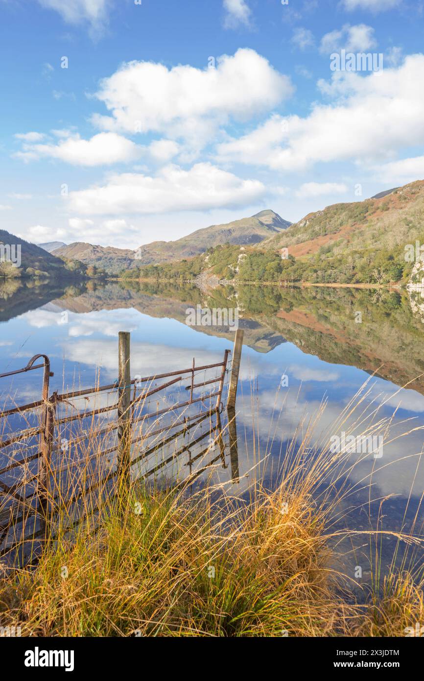 Reflexionen über Llyn Gwynant in der Nant Gwynant Tal, Snowdonia National Park, North Wales, UK Stockfoto