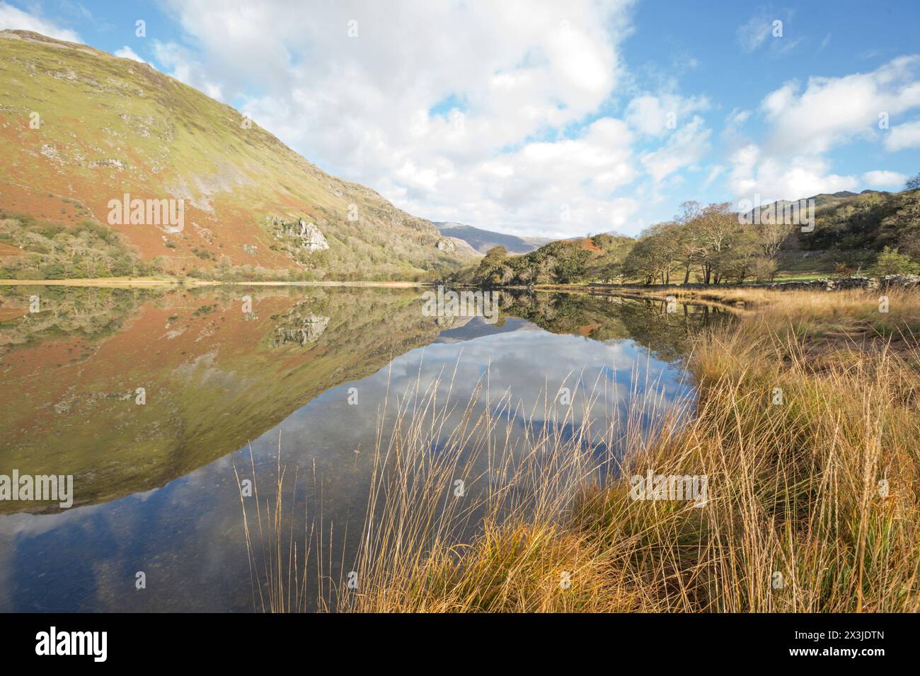 Reflexionen über Llyn Gwynant in der Nant Gwynant Tal, Snowdonia National Park, North Wales, UK Stockfoto