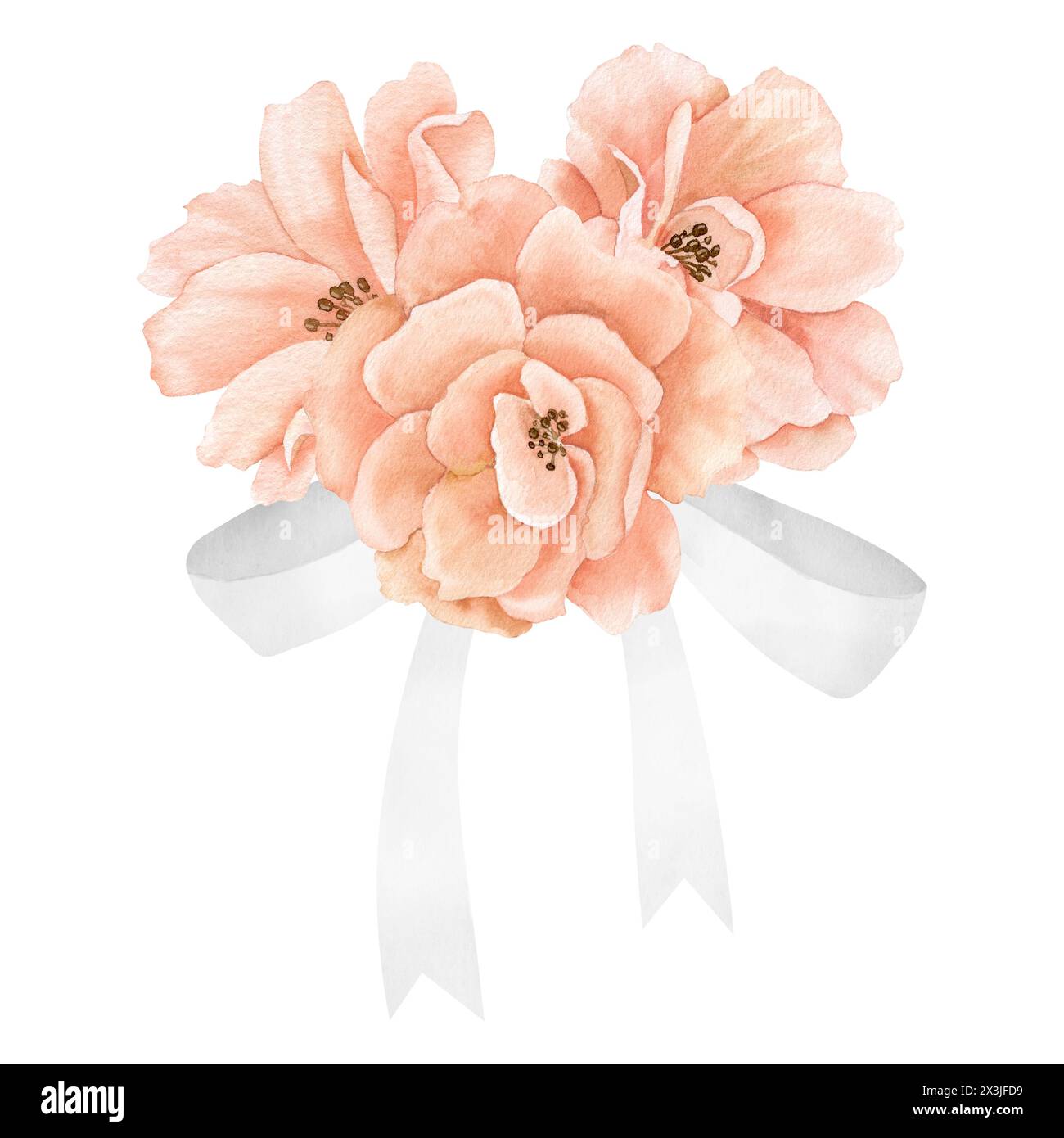 Aquarell Rosenblumen in pastellfarbenen pfirsichrosa Farben mit weißem Band. Blumenillustration für Hochzeitseinladungen oder Grußkarten auf isoliertem Hintergrund. Botanische Komposition für Symbol oder Logo. Stockfoto