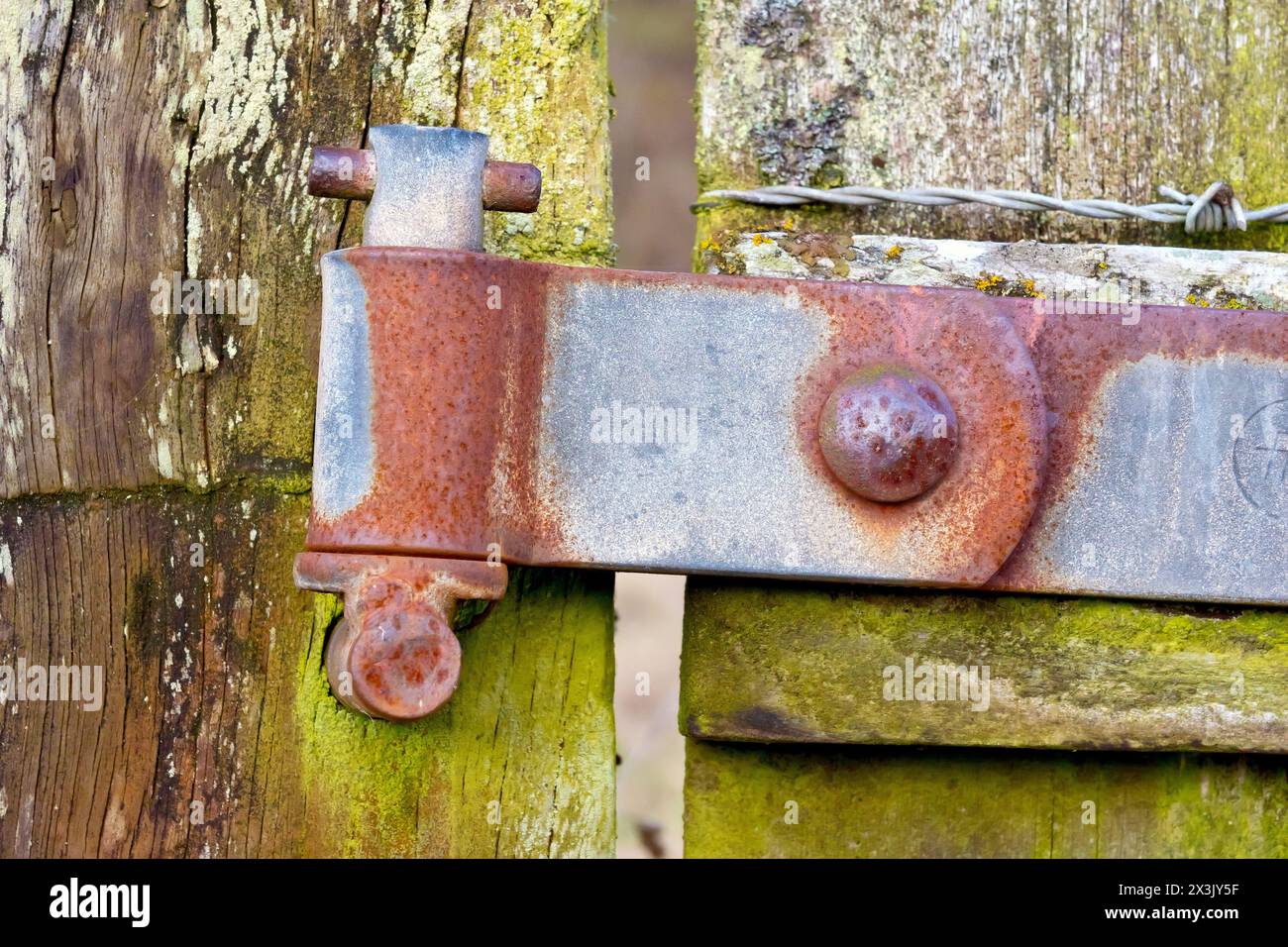 Nahaufnahme des rostenden Metallscharniers an einem klapprigen, alten Holztor. Stockfoto