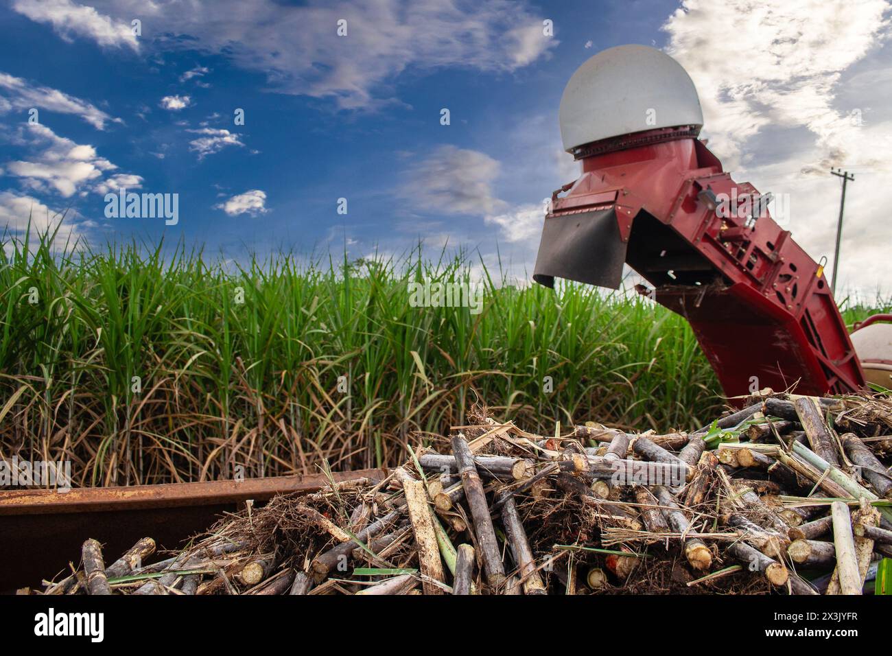 Erntemaschine, die auf einem Zuckerrohrfeld auf einem Bauernhof in Brasilien arbeitet Stockfoto
