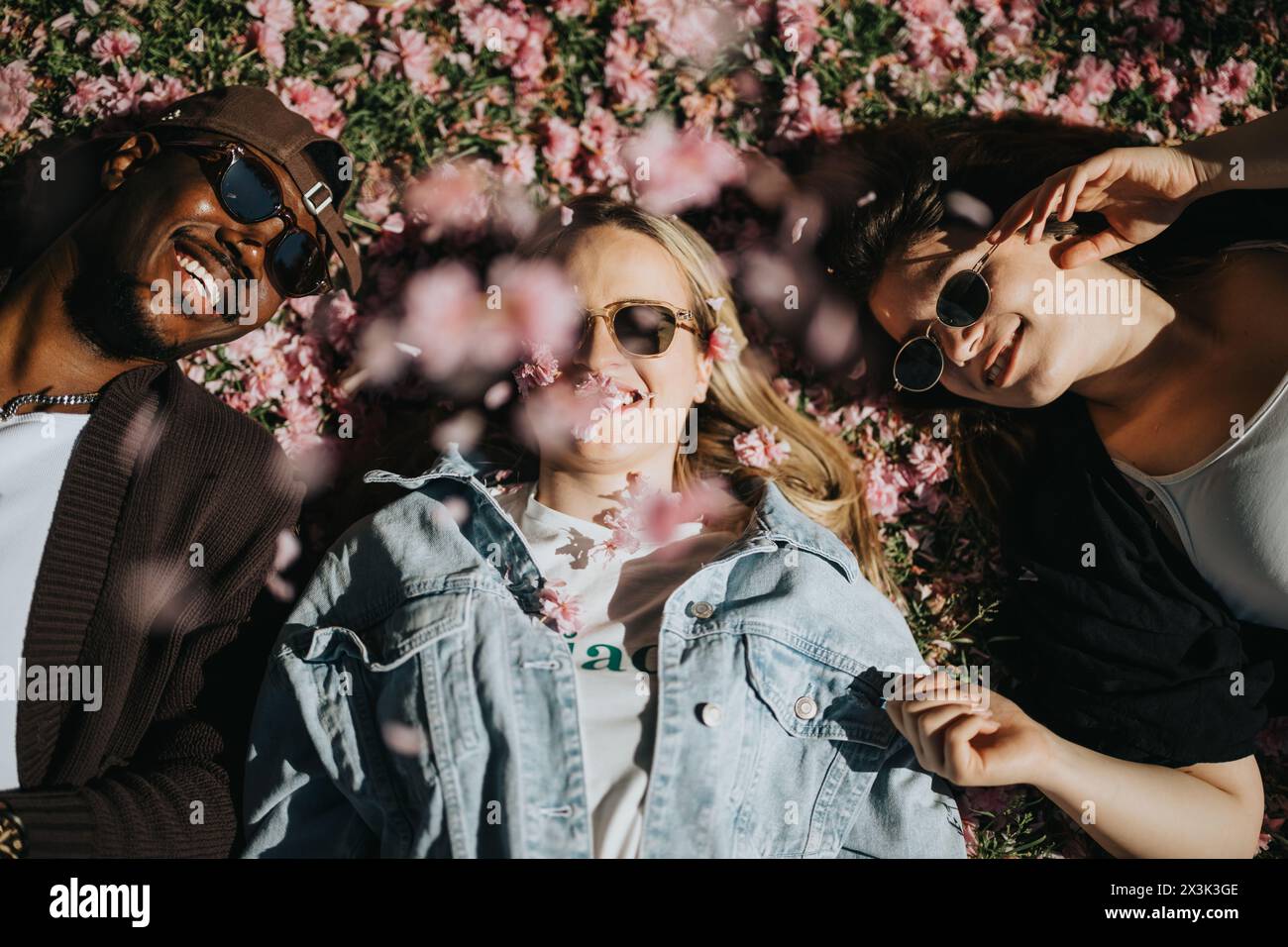 Drei Freunde genießen einen sonnigen Tag mit Lachen zwischen rosa Kirschblüten Stockfoto