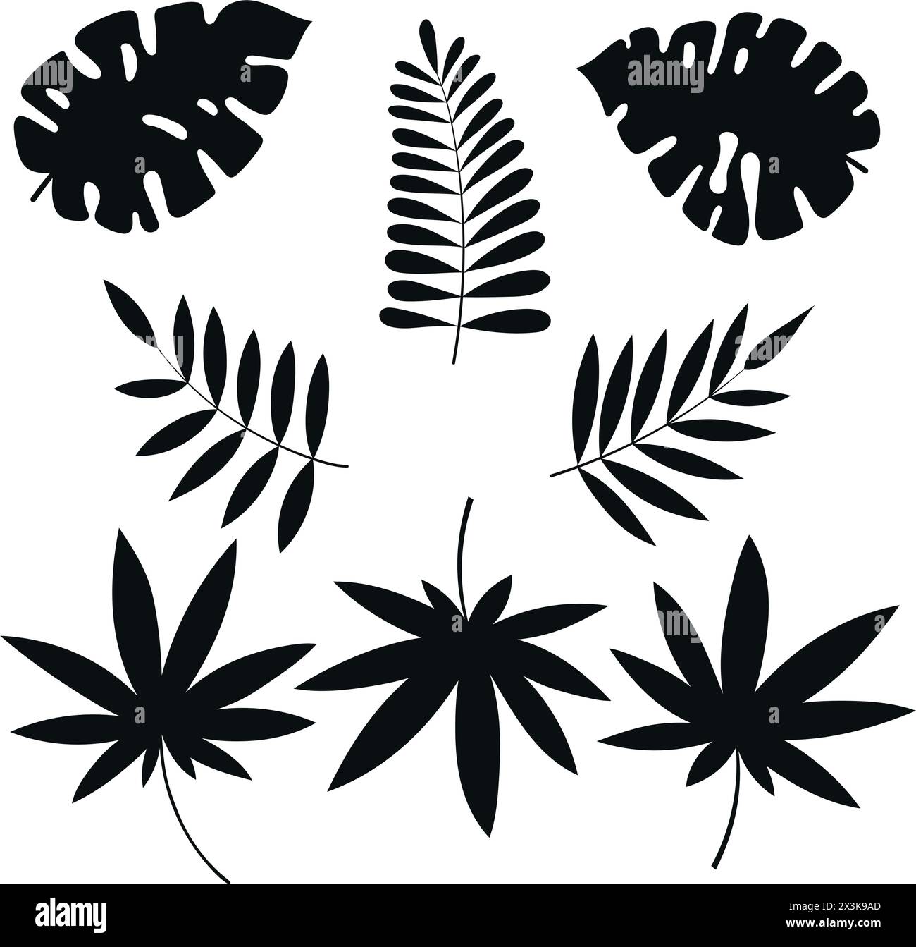 Sammlung von Silhouetten von tropischen Blättern, Monstera und Palmen, isoliert auf weißem Hintergrund Stock Vektor