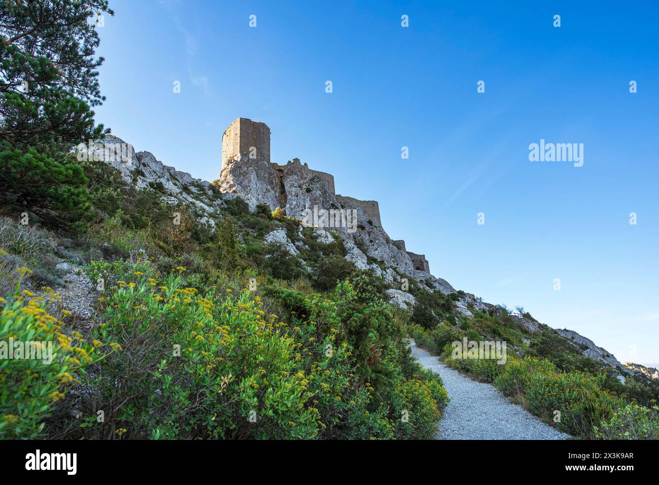 Ruinen der mittelalterlichen Burg von Quéribus in der Region Kathar in Südfrankreich Stockfoto