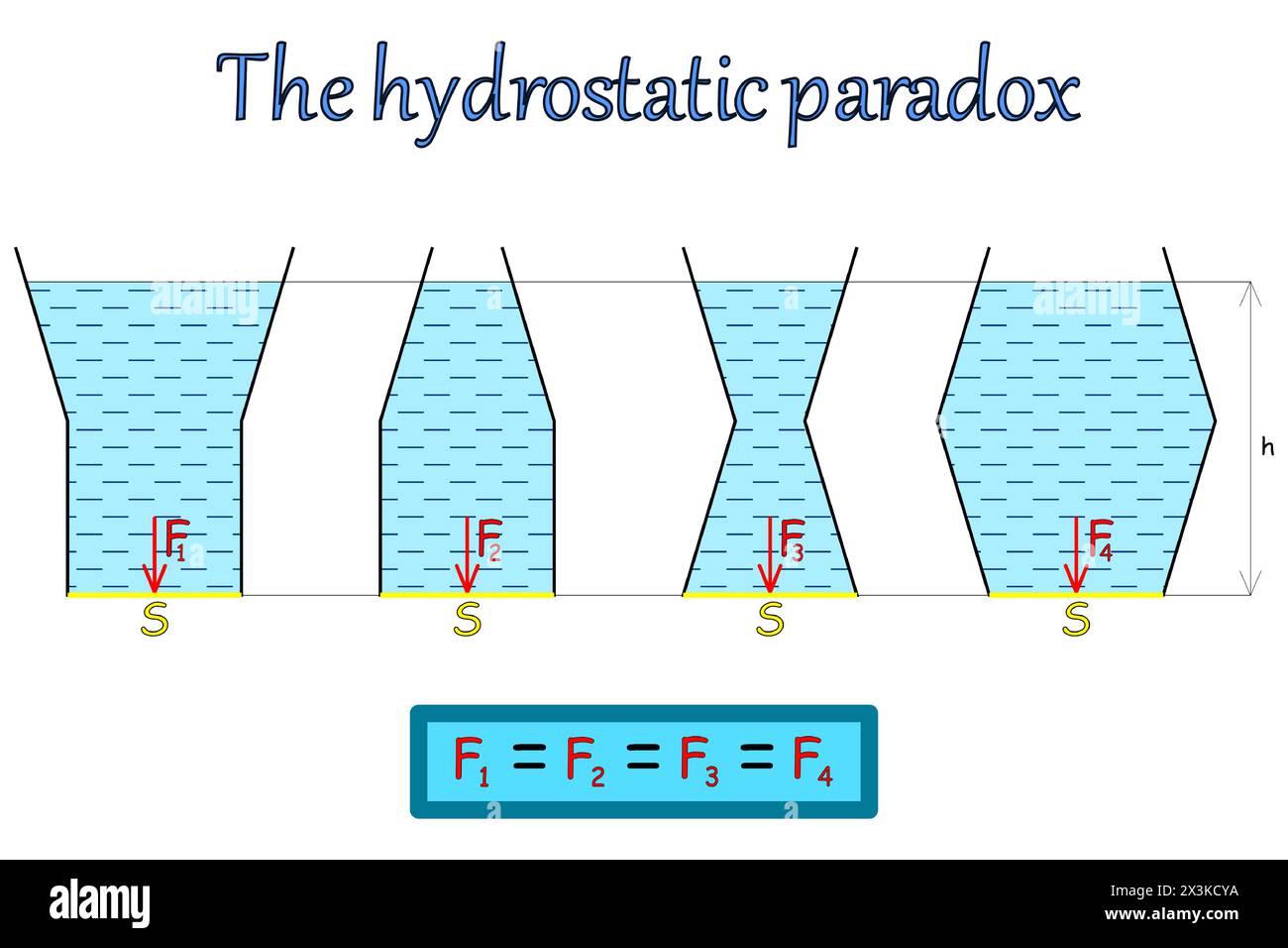 Grafische Darstellung des hydrostatischen Paradoxons auf vier Gefäßen mit einer Flüssigkeit unterschiedlicher Form und Volumen, während die Gefäße denselben Boden haben Stock Vektor