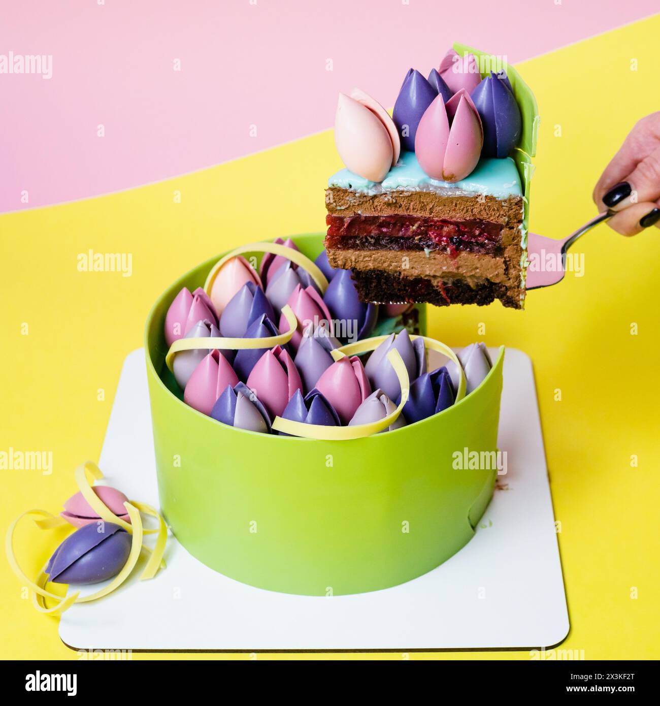 Nahaufnahme von Moussekuchen mit Schokoladentulpe, Nahaufnahme, gelber und rosa Hintergrund. Back- und Süßwarenkonzept. Französisches Dessert Stockfoto