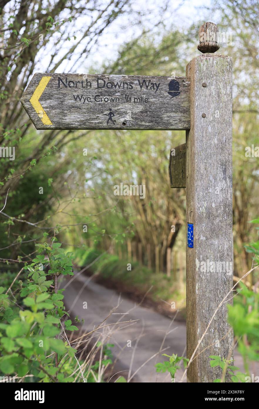 Wegweiser für den North Downs Way Fußweg in der Nähe von Wye, Ashford, Kent, Großbritannien Stockfoto