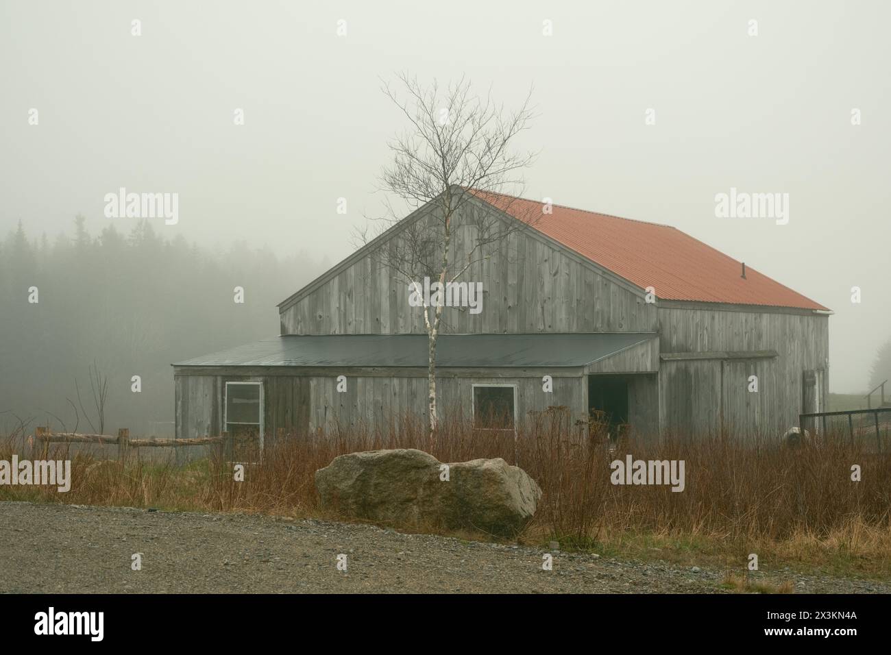 Eine Scheune an einem nebeligen Tag auf Beals Island, Maine Stockfoto