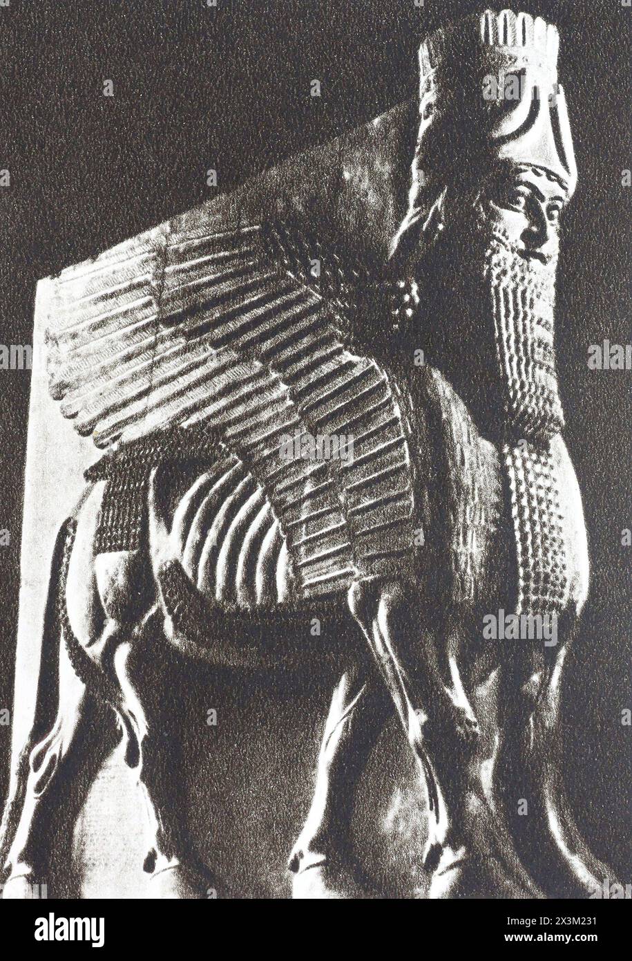 Shedu ist ein geflügelter Stier mit einem menschlichen Kopf aus dem Palast von Sargon II. Foto aus der Mitte des 20. Jahrhunderts. Stockfoto
