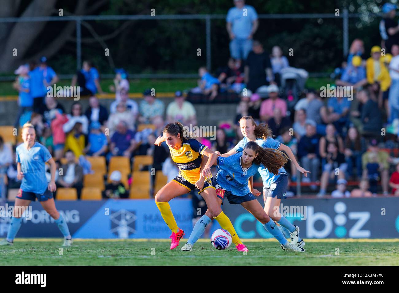 Sydney, Australien. April 2024. Indiana Dos Santos von Sydney FC tritt am 27. April 2024 in Sydney, Australien, im Halbfinale 2 der A-League Women zwischen Sydney FC und den Mariners um den Ball an Stockfoto