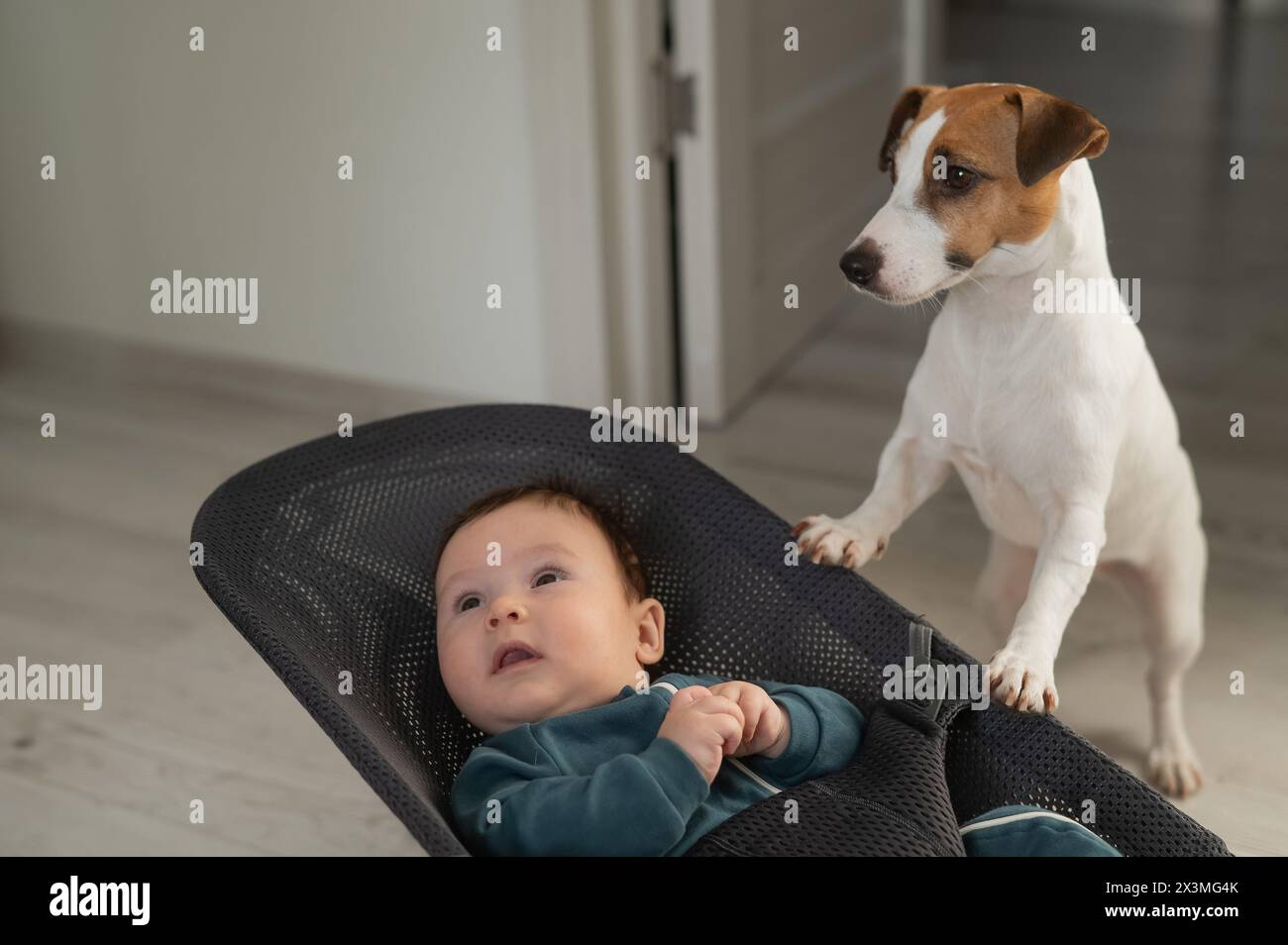 Ein Hund rockt einen süßen, dreimonatigen Jungen in einem blauen Einteiler in einer Babywippe. Stockfoto