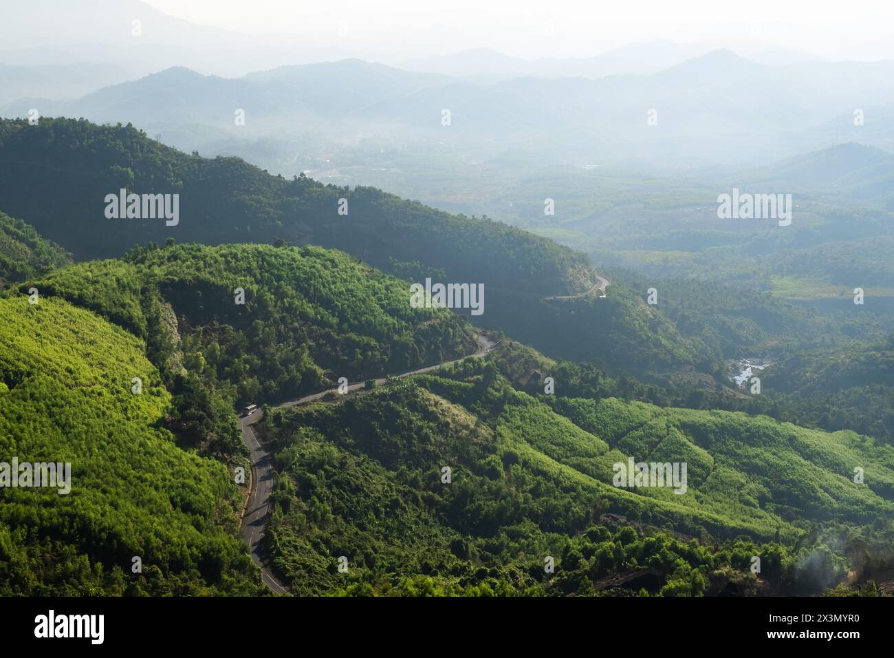 Luftaufnahme von oben Wald Baum, Regenwald Ökosystem und gesunde Umwelt Konzept und Hintergrund, Textur von grünen Baum Wald mit der Autobahn. Dalat Stockfoto