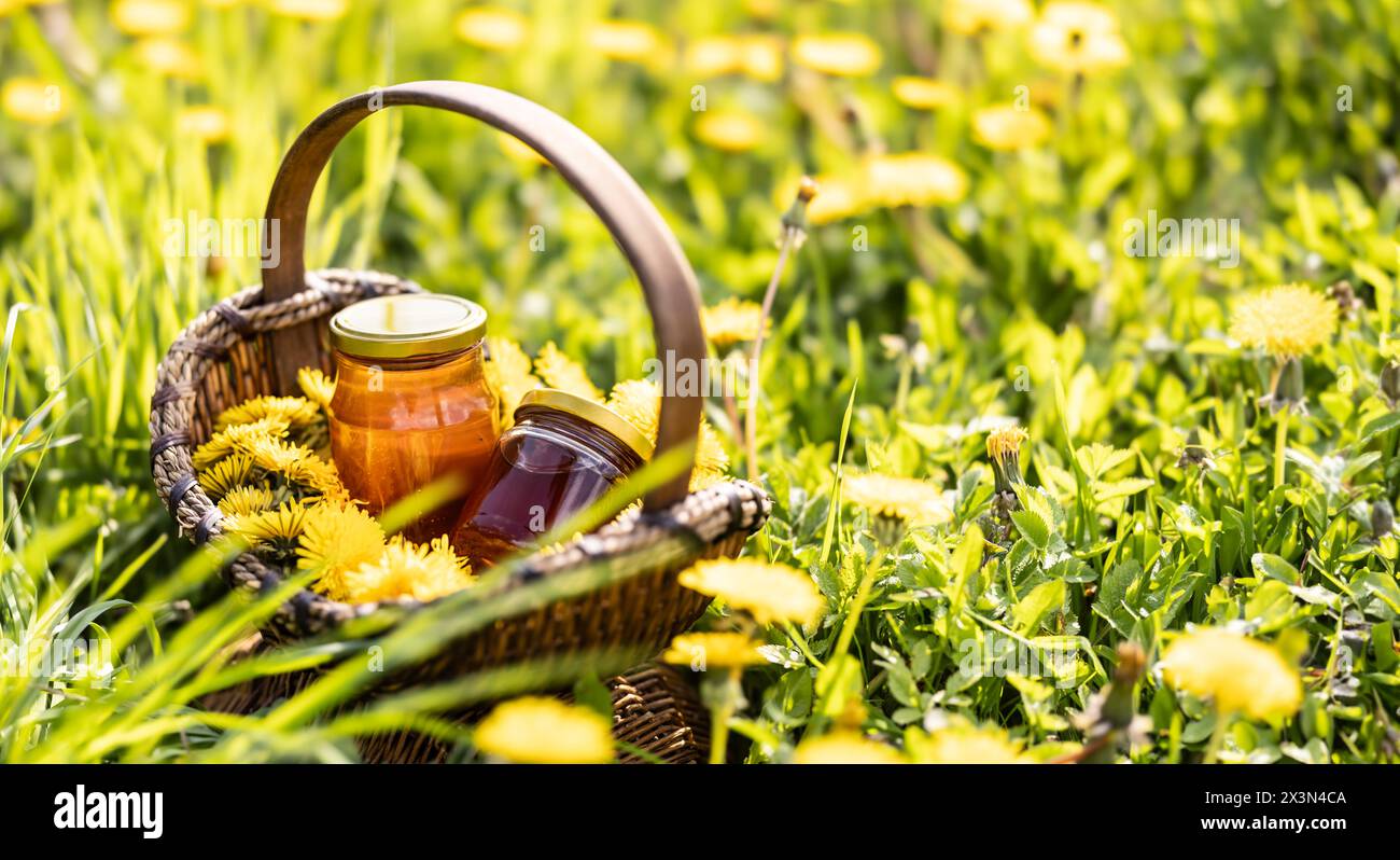 Löwenzahn blüht in einem Korb mit einem Glas Honig auf dem Boden irgendwo auf einer Wiese. Stockfoto
