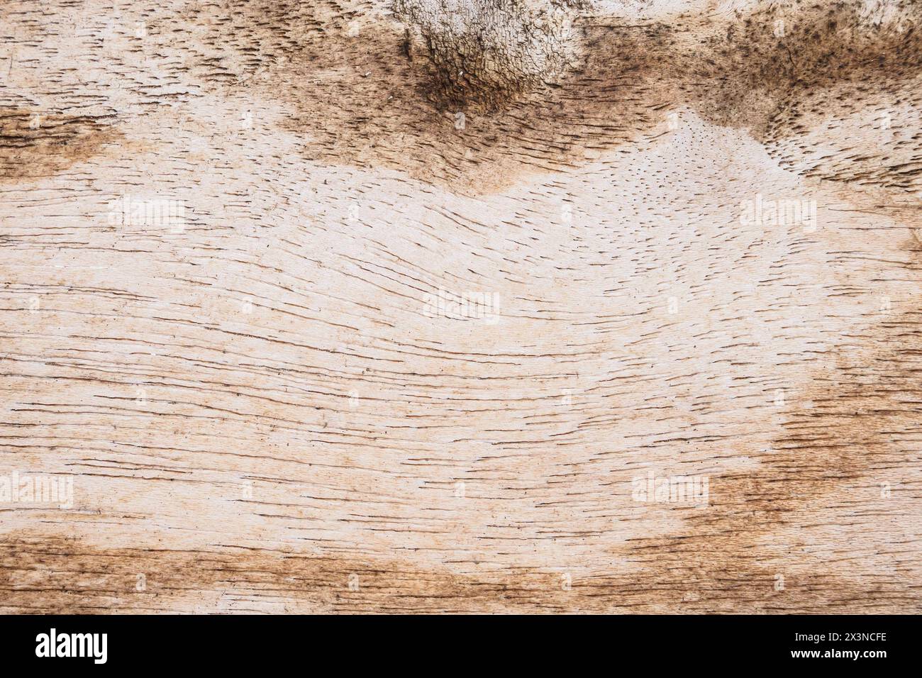 Abstrakte alte schmutzige Holzstruktur Stockfoto