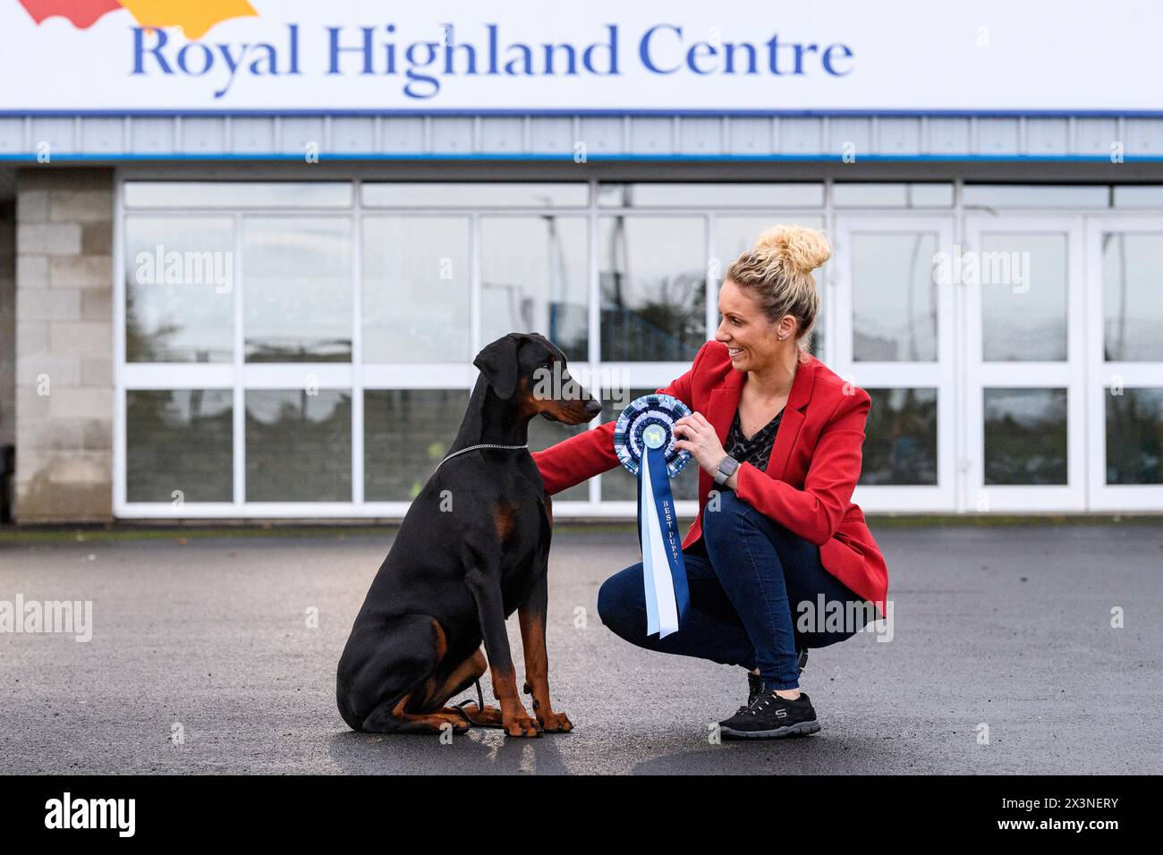 Ein Dobermann und sein Führer feiern mit einer Rosette auf der Hundeshow des Scottish Kennel Club im Royal Highland Centre, Edinburgh, Schottland, UK Stockfoto