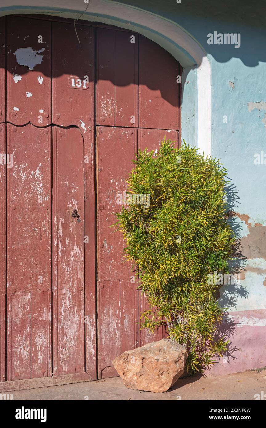 Topfpflanzen standen vor pastellfarbenen Häusern in den Seitenstraßen der Altstadt von Trinidad, Kuba. Stockfoto