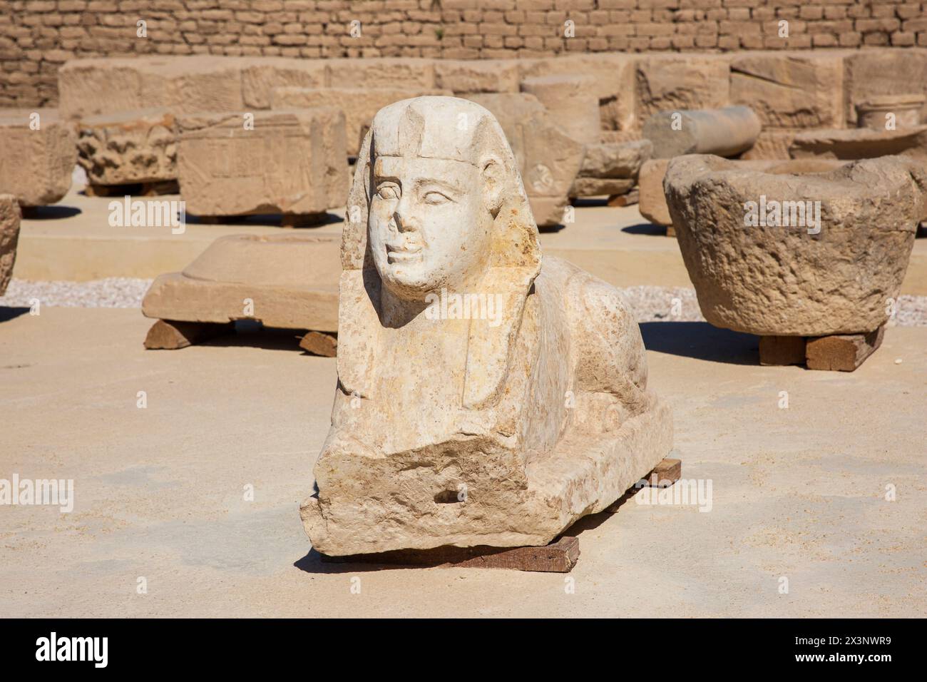 Eine kleine Sphinx aus Stein im Dendera-Tempelkomplex in Oberägypten Stockfoto