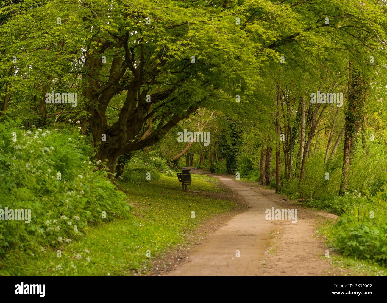 Das Wildnis Naturschutzgebiet Stockfoto