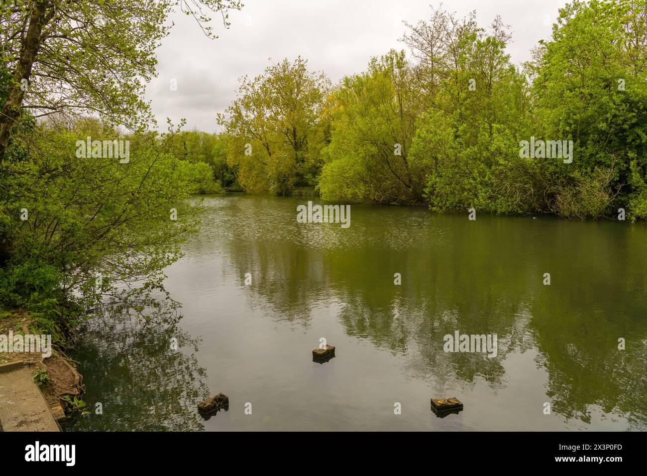 Das Wildnis Naturschutzgebiet im Frühling Stockfoto