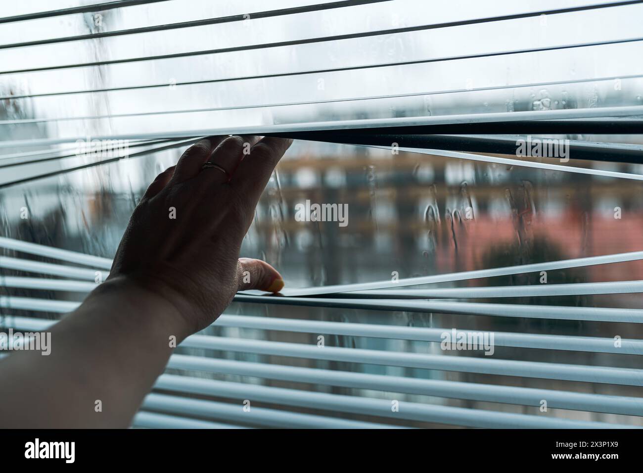 Nahhand öffnet Jalousie gegen das Fenster Stockfoto