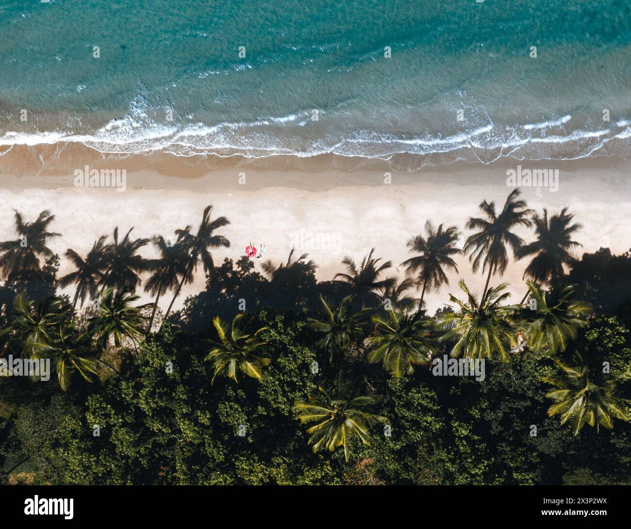 Drohnenaufnahme von Bingil Bay Beach in Mission Beach, tropisches North Queensland, Australien. Stockfoto