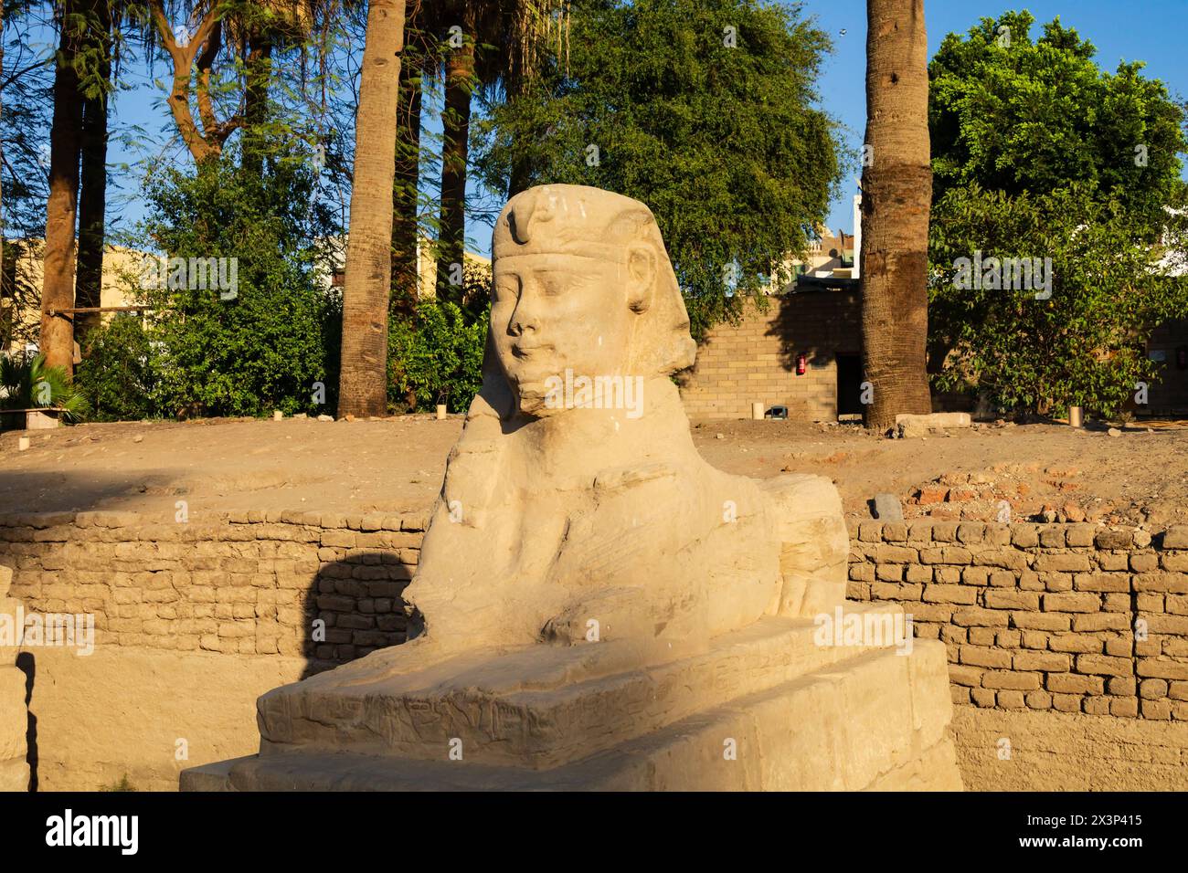 Avenue of Sphinxes vom Luxor-Tempel, Luxor, Ägypten Stockfoto