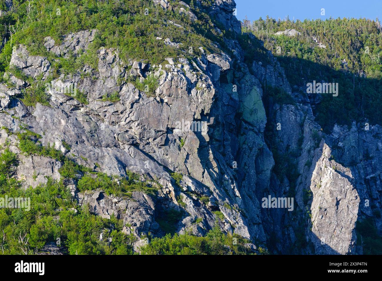 Ein Abschnitt des Eagle Cliff in Franconia Notch in den New Hampshire White Mountains. Diese Klippe wurde 1858 vom Reverend Thomas Hill nach ihm benannt Stockfoto