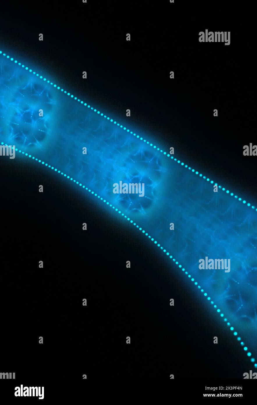 Lebendige künstlerische Kulissen: Atemberaubende Designs mit wunderschönen Farben Stockfoto