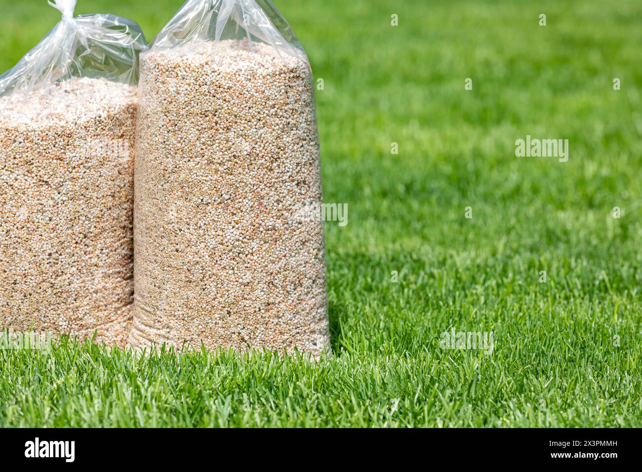 Säcke mit Rasendünger und Herbizid auf dem Hof mit gesundem Gras. Rasenpflege, Unkrautbekämpfung und Landschaftsgestaltung. Stockfoto